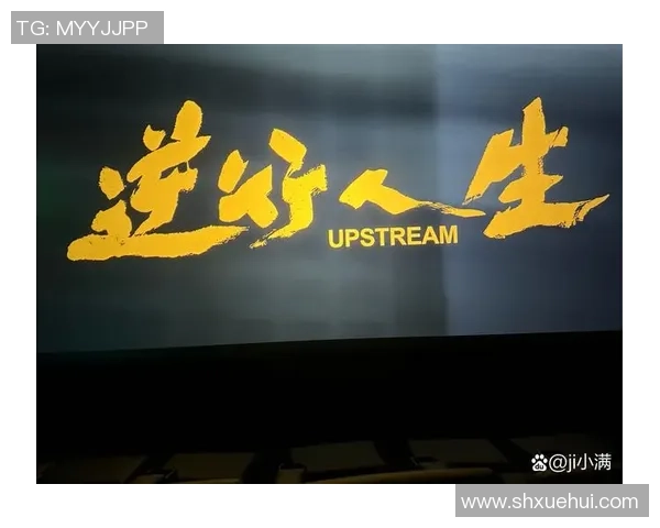 张帆：从平凡到卓越的奋斗之路与人生哲学探讨