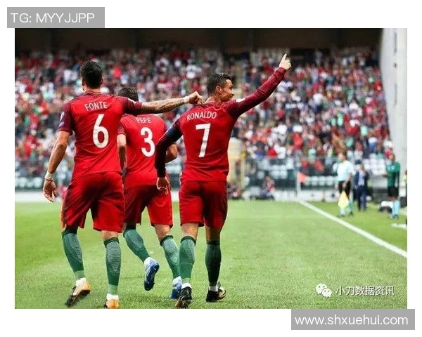 新西兰与葡萄牙对决看点分析球队实力与战术对比全解析